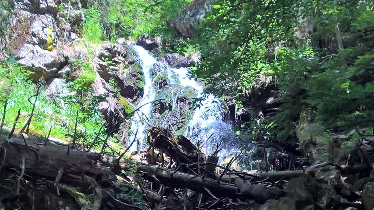 Hotel Zur Waldbahn Цвізель Екстер'єр фото